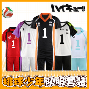 排球少年乌野高校音驹白鸟泽青叶城西稻荷崎cos队球服套装 夏 短袖
