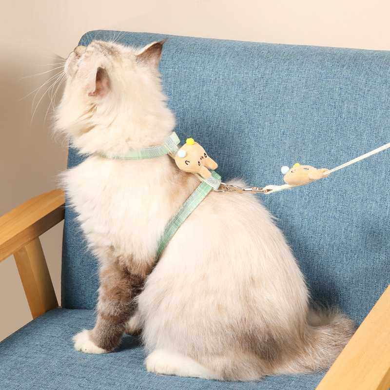 新款直销猫咪可调节蝴蝶牵引绳防挣脱遛猫绳猫链子胸背外出牵引绳,宠物/宠物食品及用品,猫牵引绳,淘宝优惠券,粉丝福利购,淘宝优惠卷