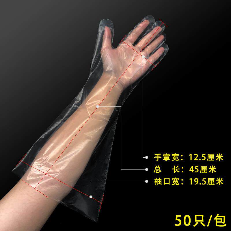 新款直销一次性手套加长食品级pe洗头塑料乳胶橡胶加厚胶皮薄膜蛋