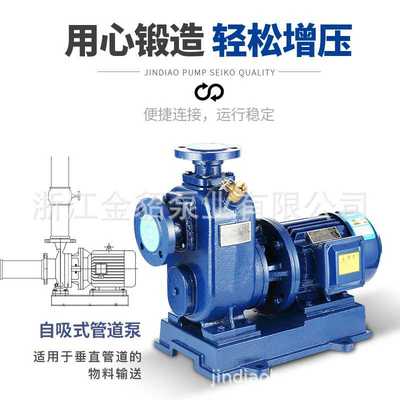 新款直销国标 自吸泵BZ/ZW自吸污水泵增压泵喷淋喷灌大流量高压泵