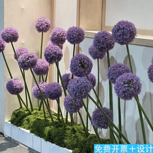 仿真大花葱假紫色球形店铺