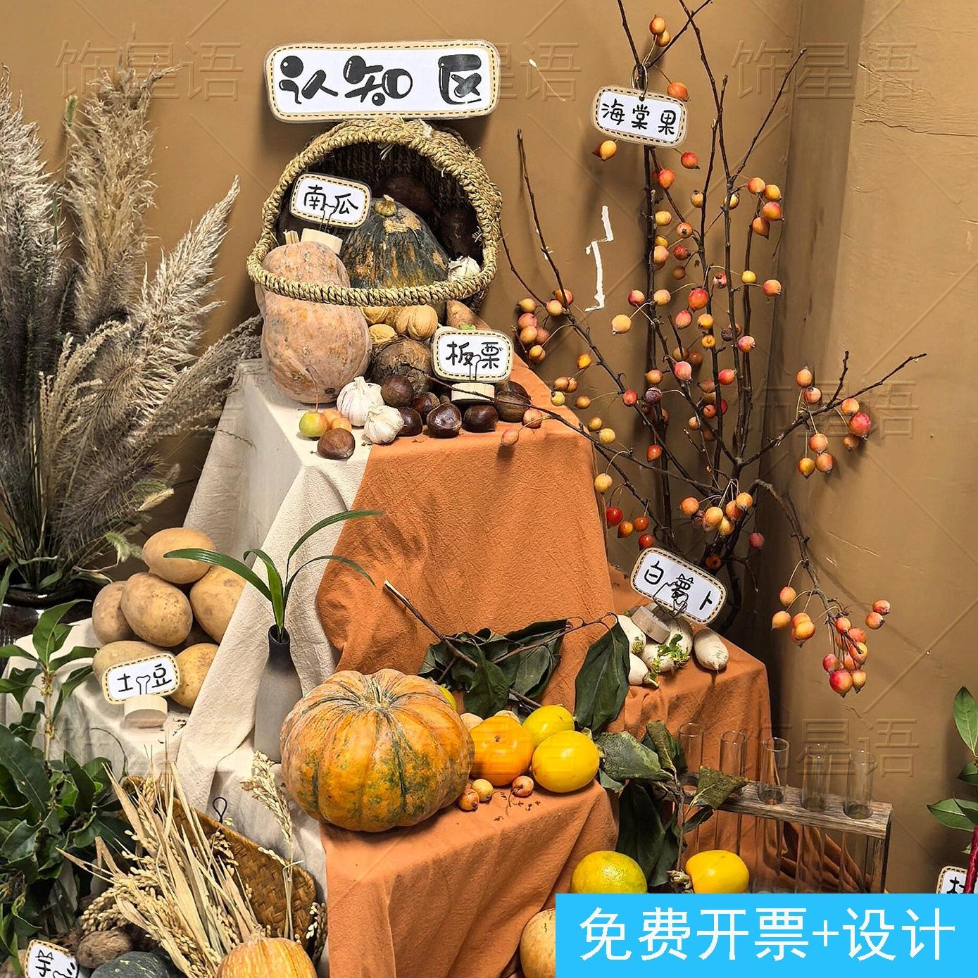幼儿园秋日环创植物角布置复古森系仿真果实树枝自然主题趣味摆台
