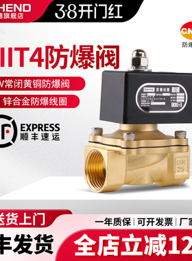 常闭IICT4防爆电磁阀4分1寸2寸粉尘防爆阀水阀电磁控制阀220V线圈