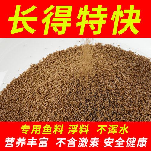 品质好货 渔场独家秘方鱼苗专用高蛋白饲料 细小颗粒 小鱼开口粮