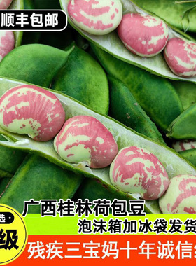 广西桂林新鲜皇帝豆农家带壳荷包豆豆花芸豆扁豆大状元豆焖煮现摘