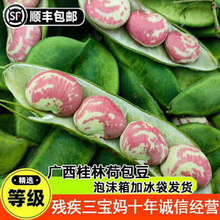 顺丰包邮广西桂林新鲜皇帝豆农家带壳荷包豆扁豆大状元豆焖煮现摘