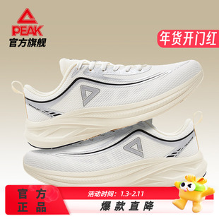 匹克态极运动鞋男款冬季新款休闲减震舒适透气运动鞋官方旗舰正品