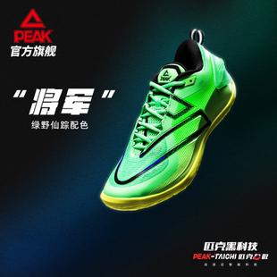 男大三角实战球鞋 匹克态极将军篮球鞋 专业碳板运动鞋 蒙克同款