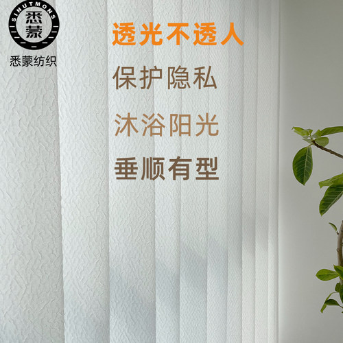 泡泡纱梦幻帘简约透光不透人韩式
