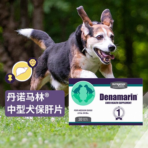 丹诺马林中型犬用护肝片30片
