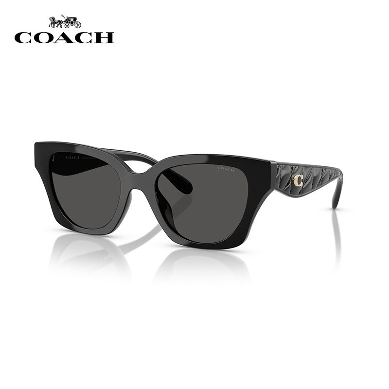 【自营】Coach太阳眼镜休闲时尚商务墨镜旅游徒步护目镜0HC8418U