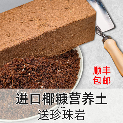 进口椰砖营养土养花种菜更轻松