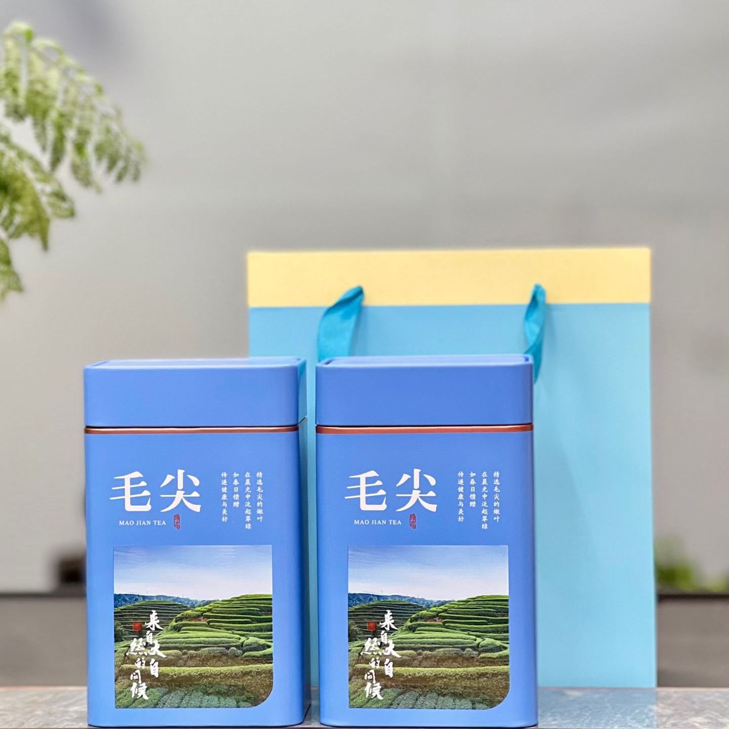 2026新茶头采高山绿茶毛尖浓香型耐泡型口粮茶罐装