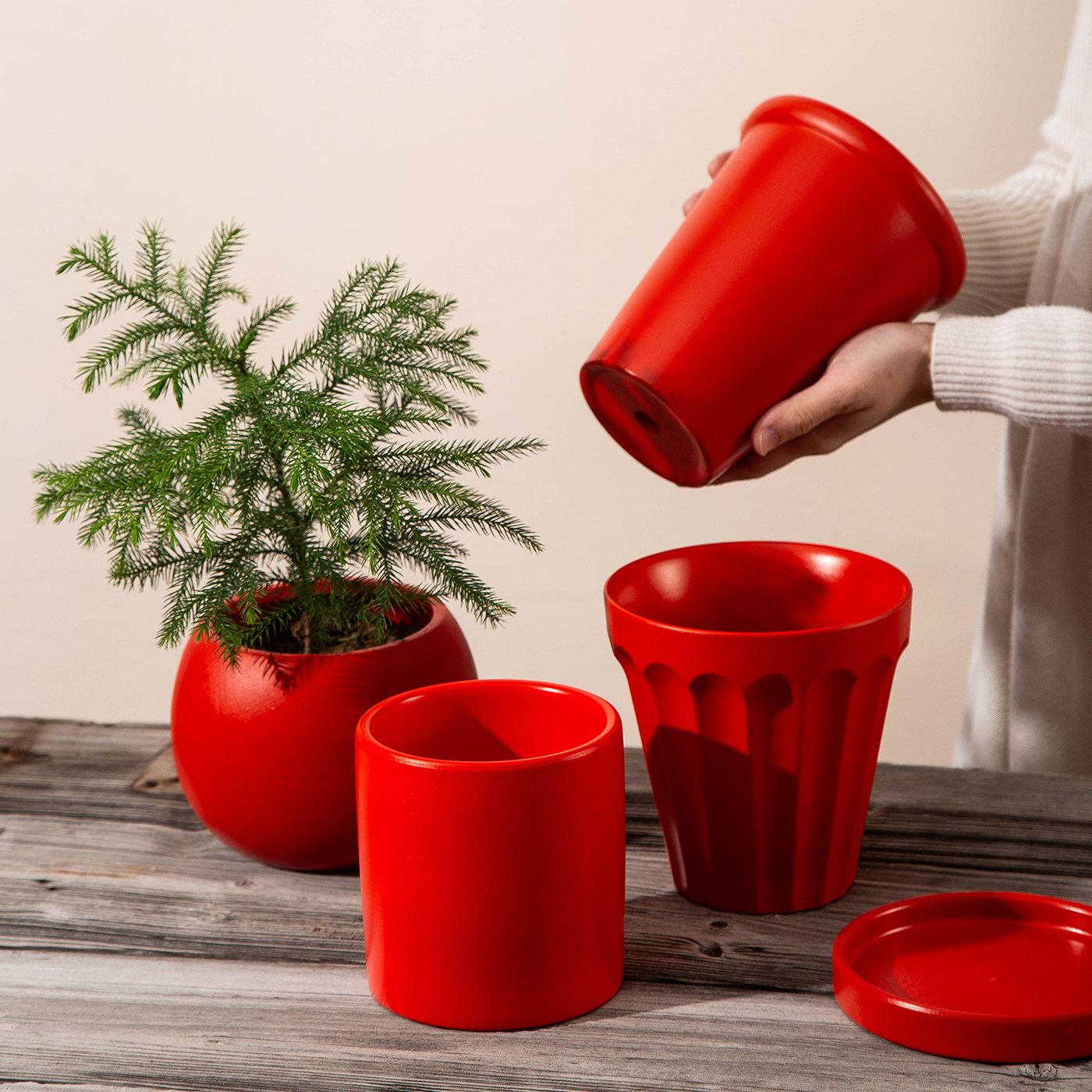 新春圣诞红陶土花盆 客厅落地 桌面小香松圣诞树花盆大口径带托盘