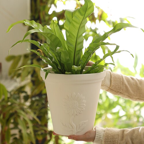 米白色太阳花浮雕陶土花盆花园庭院阳台简约绿植素烧粗陶瓷泥瓦盆