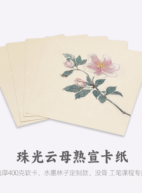 义记宣珠光云母熟宣卡纸A3A4仿古宣纸卡纸水墨林子国画专用纸没骨画纸工笔画写生花鸟没骨画工笔镜片宣纸软卡