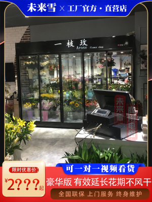 未来雪花店专用无霜鲜花保鲜柜