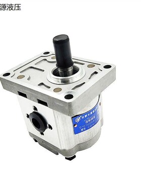 合肥长源款齿轮泵CBW-F304/306/310-ALP/AFP/CLP/CFP 314W 316 32