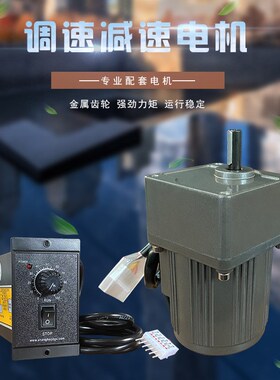 微型电机15W 220V交流齿轮调速电机/减速电机3IK15RSGN-C 小型马