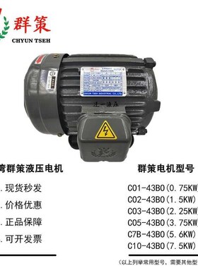 台湾SY群策0.75KW 1.5KW 2.25KW 3.75KW电机5.L6KWC01/02/03/-43B
