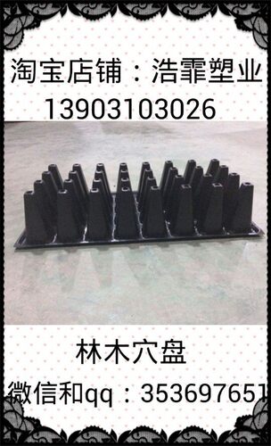 大棚穴盘芽苗菜育苗盆托盘加厚林木塑料盒蔬菜瓜果草莓种植钵包邮