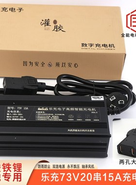 杭州乐充电子60V72V伏磷酸铁锂专用锂电池智能防雨充电机器灌胶版