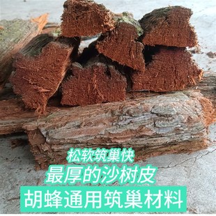 (杉树皮很厚)26一斤胡蜂黄脚筑巢材料红娘杉树皮5斤桉树皮蜂王