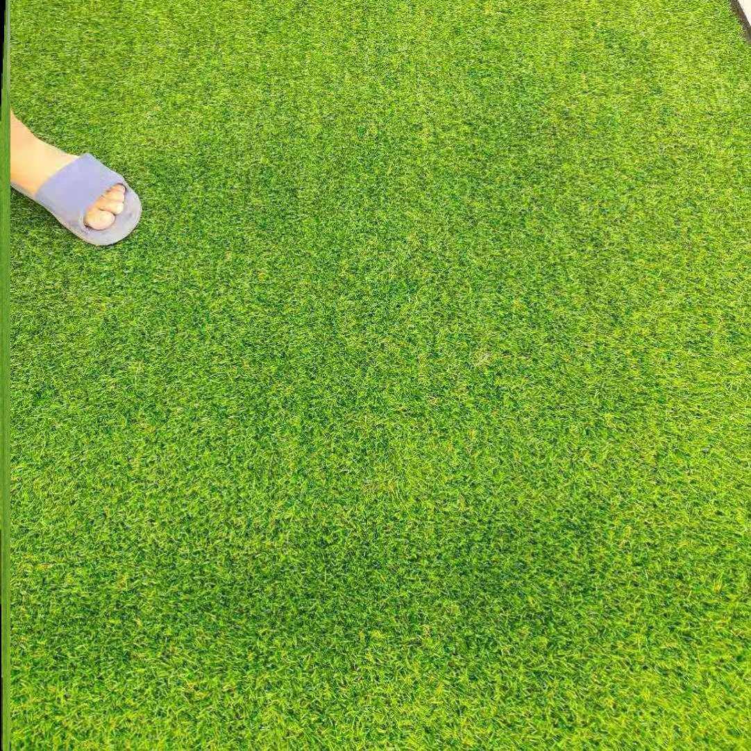 工假草室内铺垫操场房顶墙壁加密仿真草坪地毯花草草坪草草皮绿色