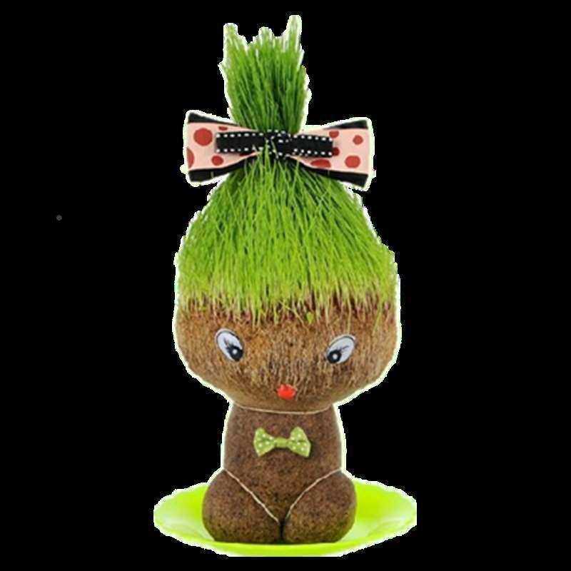 长草娃盆栽头上草盆栽浇娃娃unq水长草的植物娃娃草头长娃娃草植