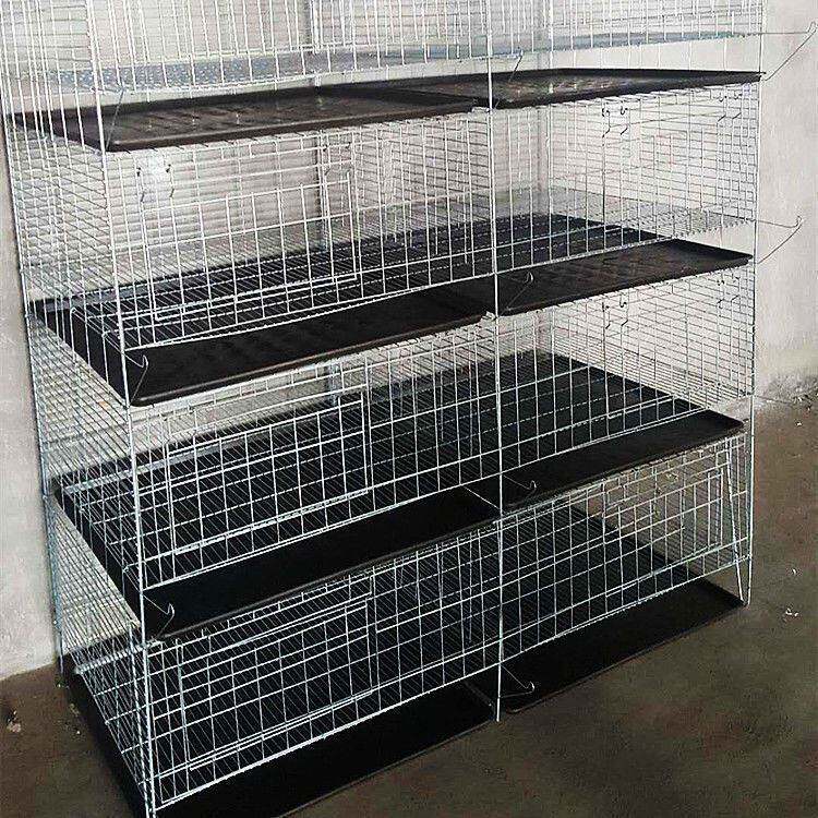 自制饲养养鸡笼养殖设备适用笼具层叠四层捡蛋育雏大型专用阶梯式