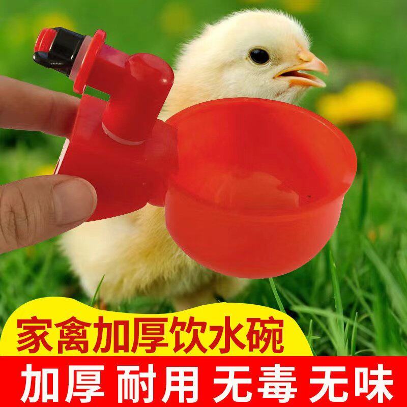 鸡用自动饮水器鸡鸭鸽子饮水碗喝水碗雏鸡鸟用饮水器鸡鹌鹑饮水器