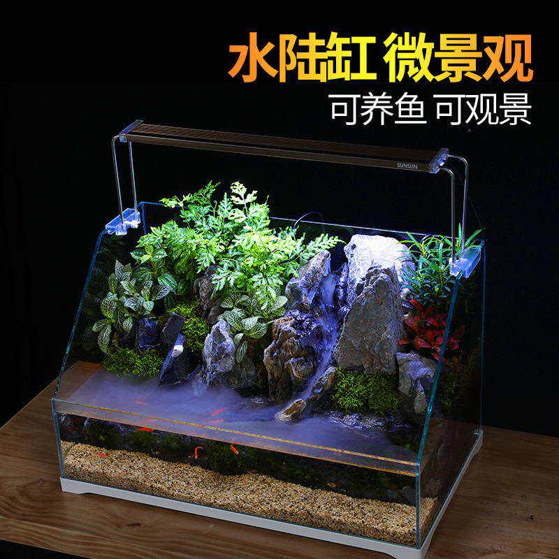 微景观水陆缸生态缸斜口超白缸植物造景骨架雾化雨林缸鱼缸养鱼