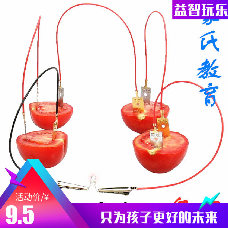 幼儿园大班中班科学区自制材料包水果发电小实验器材水果电池制作