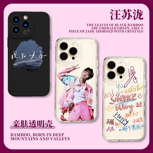 汪苏泷手机壳华为mate40Pro同款nova11周边10演唱会9应援8歌词p60p504p0音乐50简约30适用80荣耀90畅享60小众