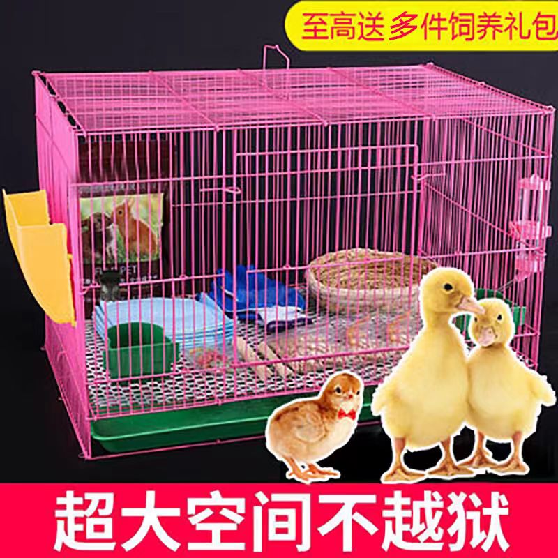柯尔鸭笼子养小鸭子小鸡专用大号笼家用室内外装鸡鸭别墅的饲养笼