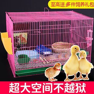 鸡鸭别墅 柯尔鸭笼子养小鸭子小鸡专用大号笼家用室内外装 饲养笼