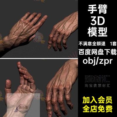 1套手臂3D模型手掌写实素材obj无3dzprzb男人C4D设计建模胳膊膜