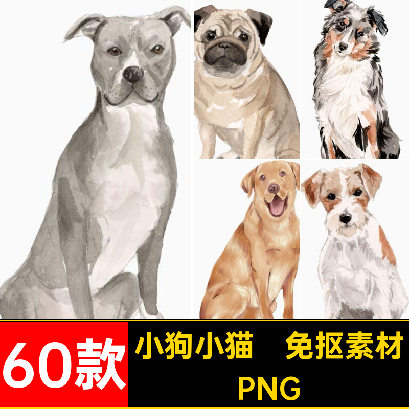 可爱宠物免抠素材小猫咪图片斗牛抠图手绘斗牛犬水彩60款图片素材