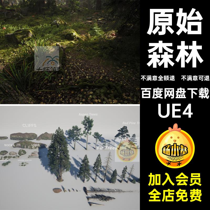 小路草地环境原始森林青苔场景写实UE5UE4树林岩石虚幻环境UE4