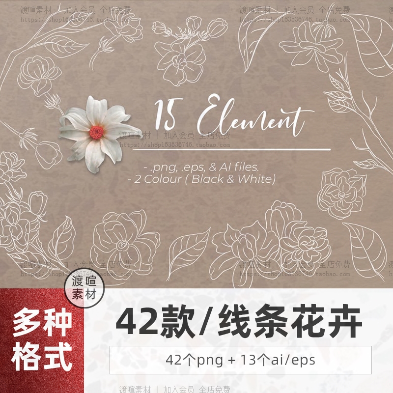 png植物手绘线条茉莉花线稿线描插画艺术花朵花纹花卉ai矢量素材