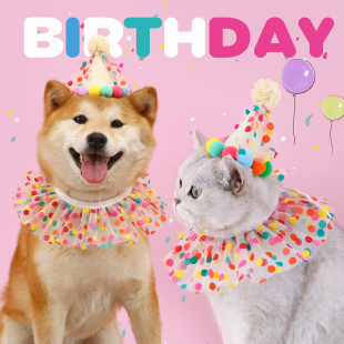 狗狗生日帽宠物头套狗围兜小狗帽子可爱生日装 饰猫咪头饰拍照道具