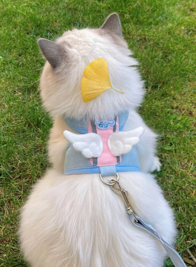 猫猫防挣脱外出牵引绳背心式猫咪专用遛猫绳胸背带溜猫绳猫链子