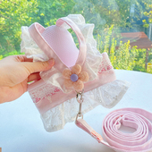 小狗狗牵引绳小狗绳子幼犬专用小体E犬小泰迪遛狗绳网红胸背带外