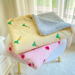 宠物毛毯猫咪专用小被子冬季 猫垫子狗狗睡觉毯子狗睡垫冬天法兰绒