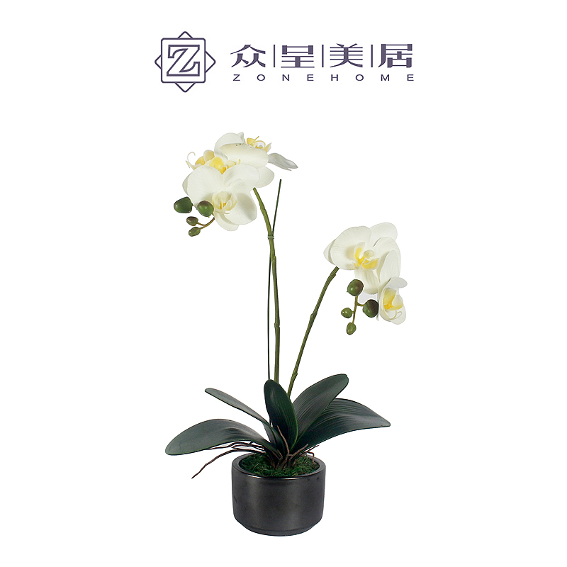 新中式蝴蝶兰假花仿真花客厅摆设塑料花茶室内装饰小清新花卉套装