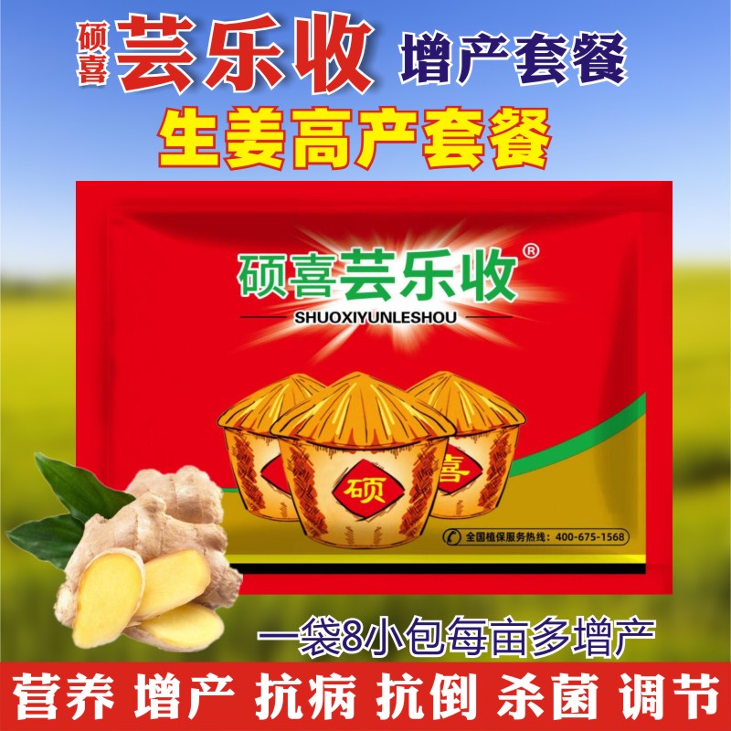 硕喜芸乐收大姜生姜增产叶面肥生根壮苗膨大素肥料防病防菌膨果素