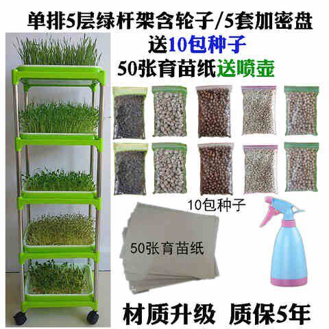 无土种菜神器阳台种菜神器室内种菜盆架子幼儿园环创自然角种植区