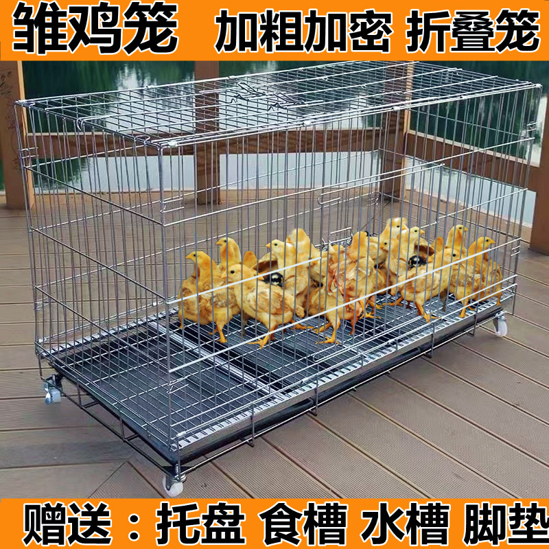 小鸡笼子育雏笼子家用室外大号特大室内养鸡专用笼子芦丁鸡笼子_虎窝淘