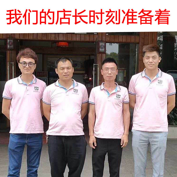 宠物托运服务广州随机猫猫狗狗运宠物托运