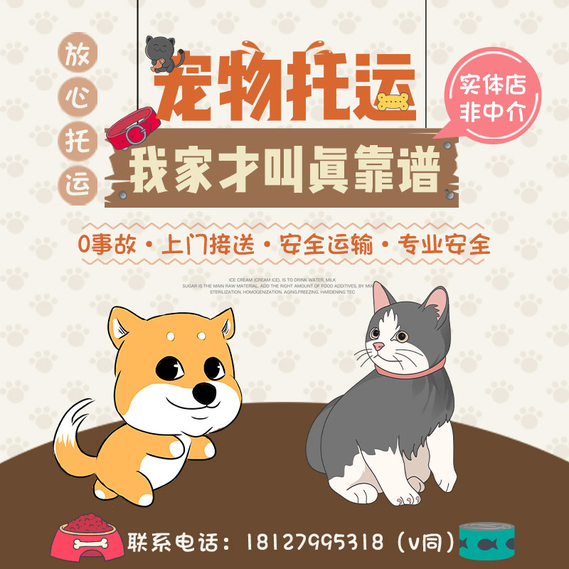 宠物托运服务运输邮寄猫咪狗狗快宠物托运